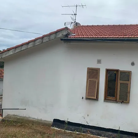 Foglia Di Quercia *