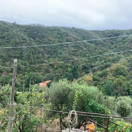 Foglia Di Quercia Feriehus *