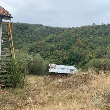 Foglia Di Quercia *