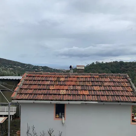 Foglia Di Quercia *